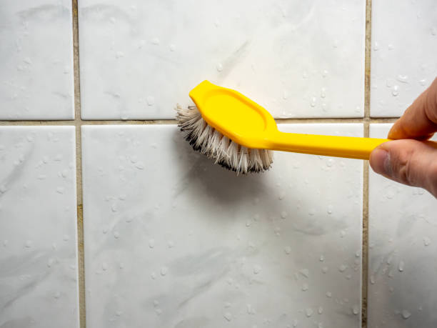 Best Home Mold Removal  in Plymouth, CA