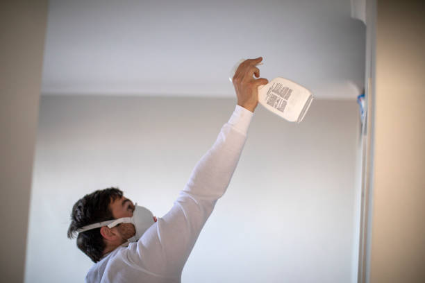 Home Mold Removal in Plymouth, CA