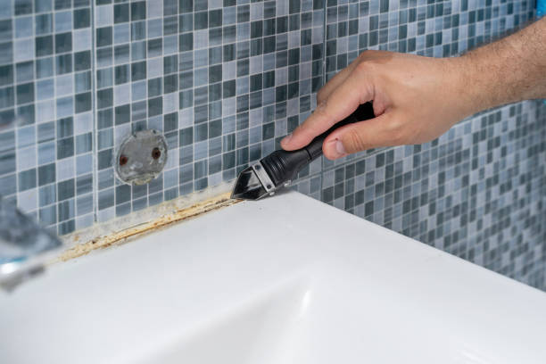 Best Best Mold Removal Companies  in Plymouth, CA
