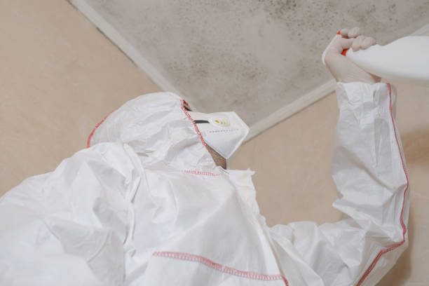 Best Commercial Mold Removal  in Plymouth, CA